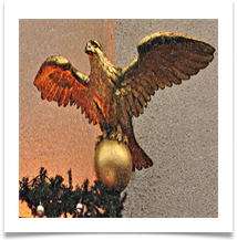 DSC_0031 Eagle in the Snow - Carol Sparkes